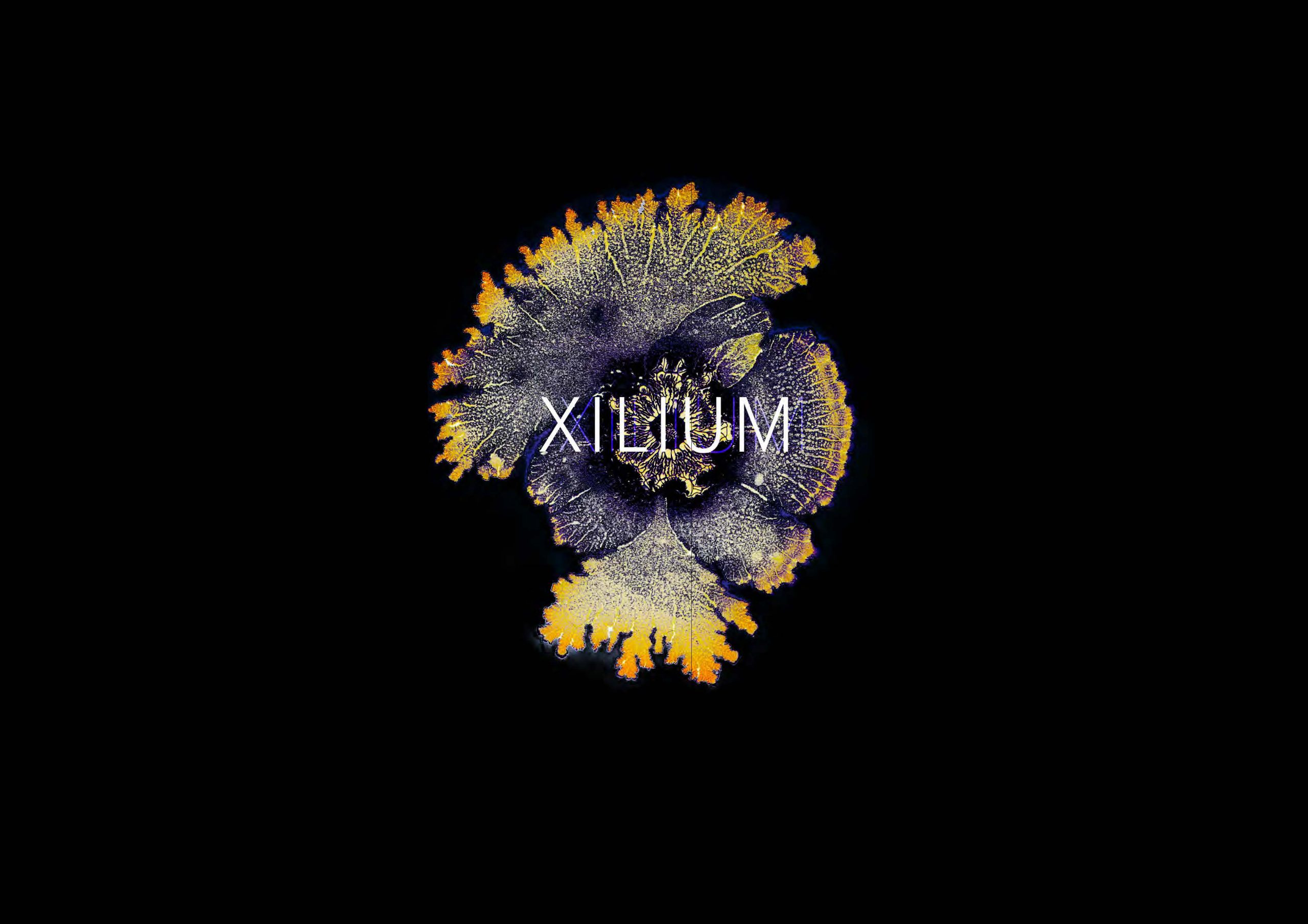 METAVERSE | XILIUM XR NETWORKED ENVIRONMENT